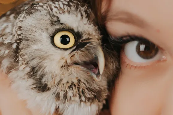 カジノ ビー ベッツ サポート